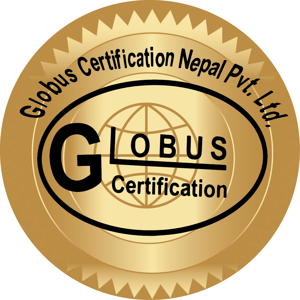 website logo